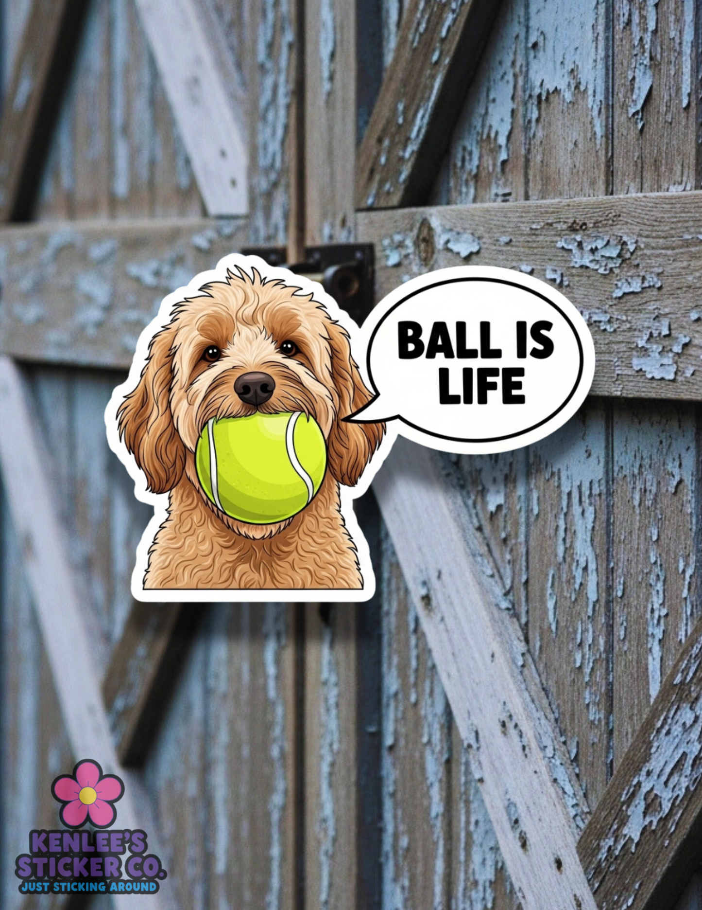 Doodle - Ball Is Life