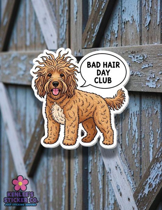 Doodle - Bad Hair Day