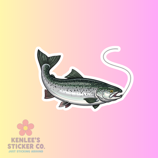 Nice Fish!