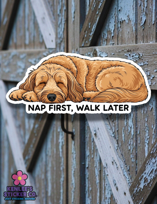 Doodle - Nap First, Walk Later