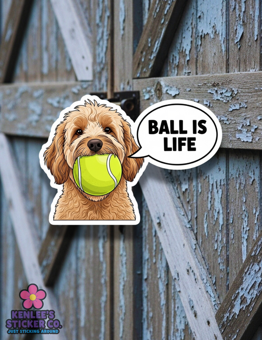 Doodle - Ball Is Life